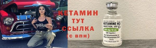 трава Армянск