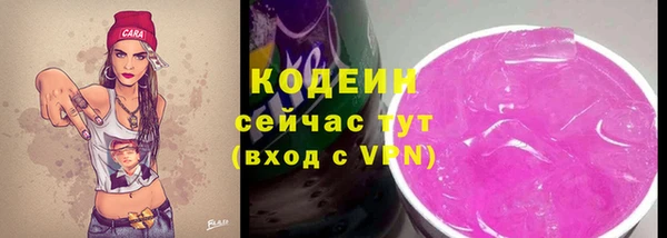 гидра Арсеньев