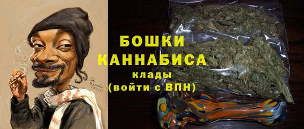 гидра Арсеньев