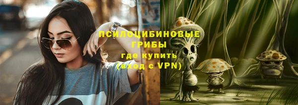 гидра Арсеньев