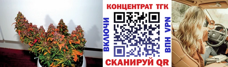 как найти   МЕГА ТОР  ТГК концентрат  Минусинск 