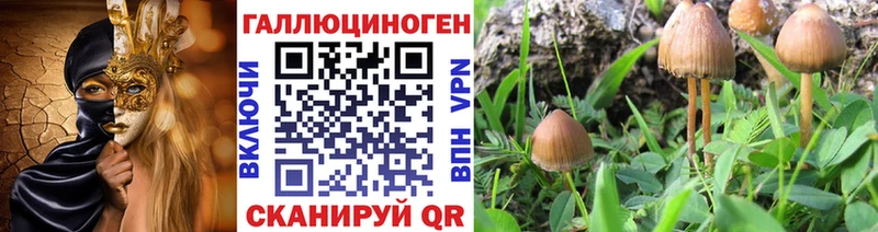 Галлюциногенные грибы мухоморы  Минусинск 